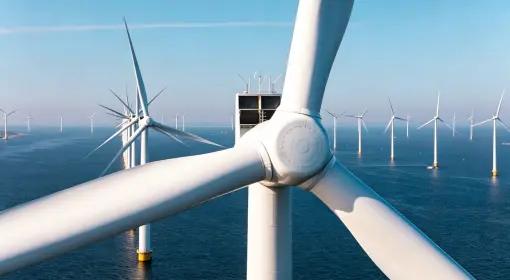 Offshore wind turbine bearing components